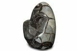 Free-Standing, Polished Septarian Geode - Black Crystals #302873-2